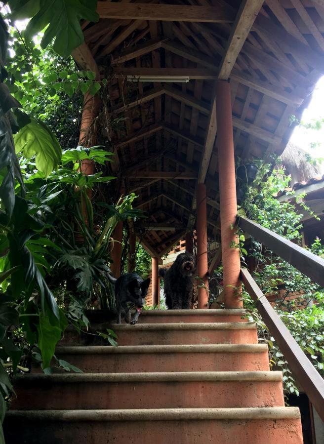 Hotel Casa H Rinconcito Mazunte Zewnętrze zdjęcie